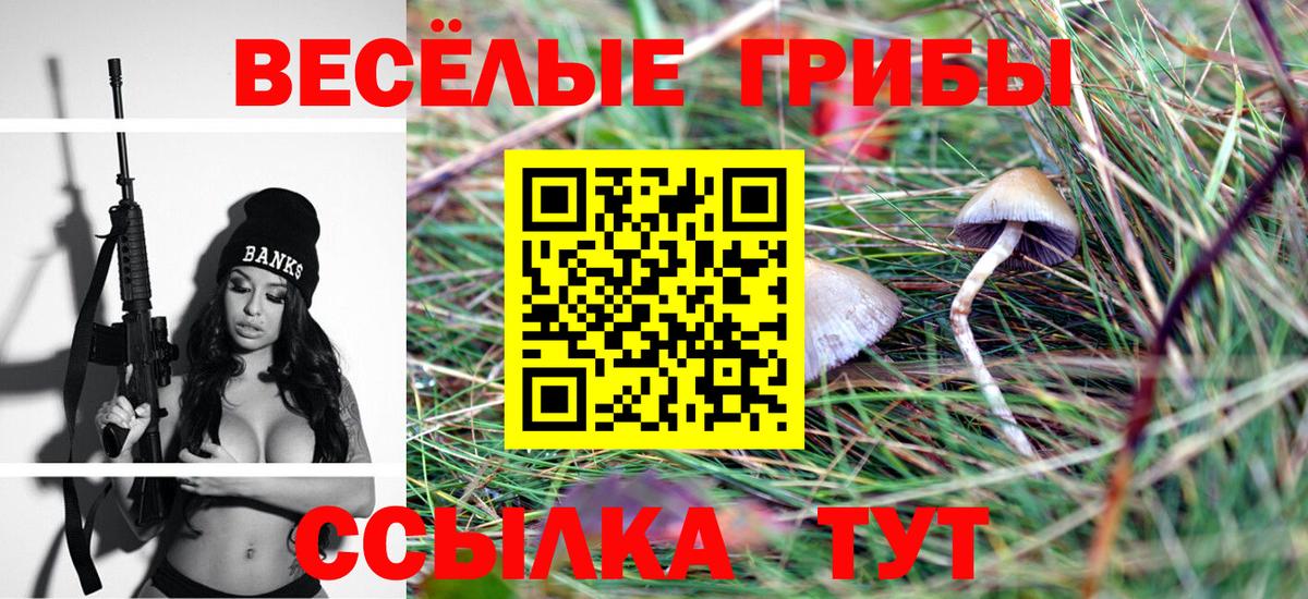 Белогорск  Псилоцибиновые грибы MAGIC MUSHROOMS  Галлюциногенные грибы прущие грибы  Вход с VPN 