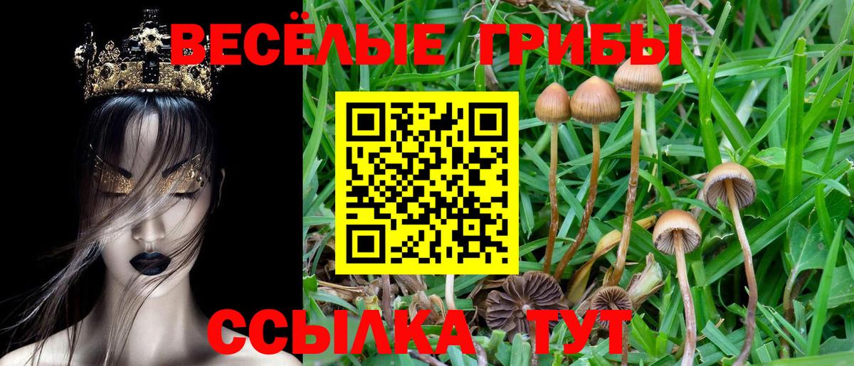 Псилоцибиновые грибы MAGIC MUSHROOMS Белогорск